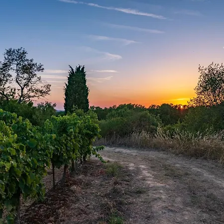 Cerise Sud Hotel Carcassonne