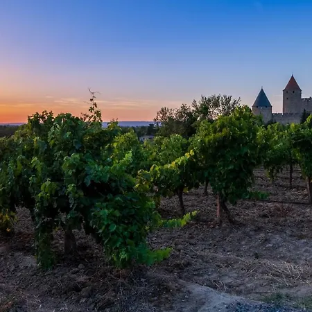 Cerise Sud 3* Carcassone