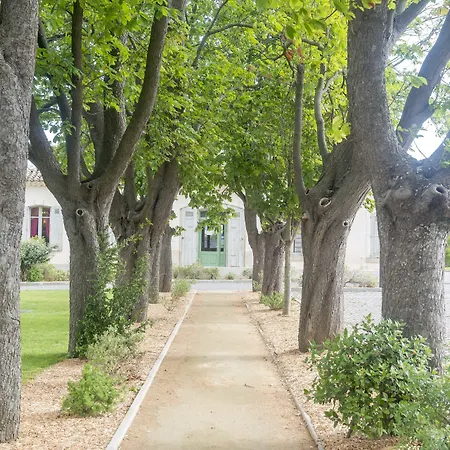 Cerise Sud Carcassonne