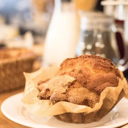 Cerise Sud Carcasona