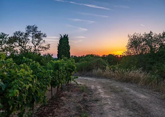 Cerise Sud 호텔 카르카손