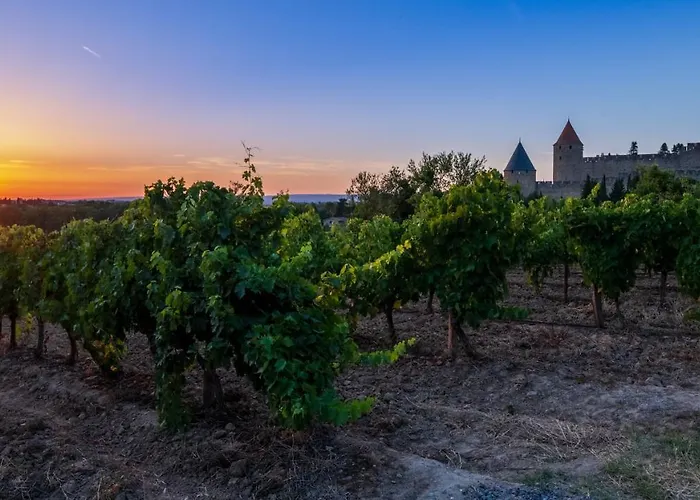 Cerise Sud 3* Carcassonne