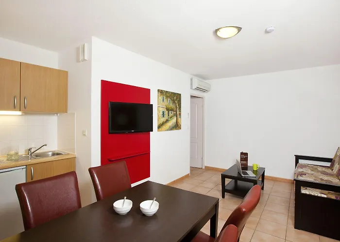 セリーズ シュッド 3*