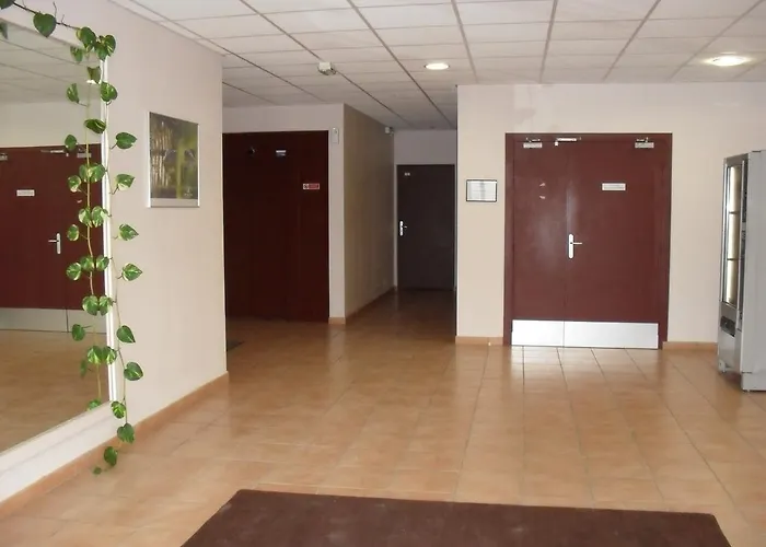 セリーズ シュッド