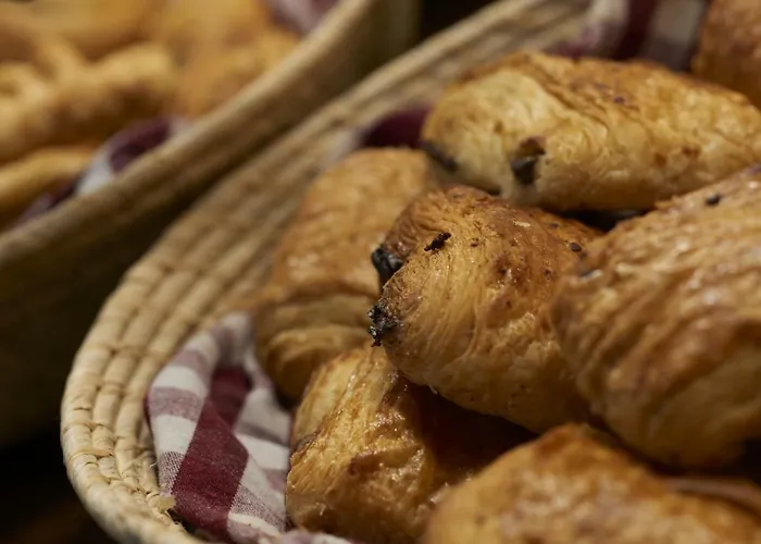 Cerise Sud 카르카손